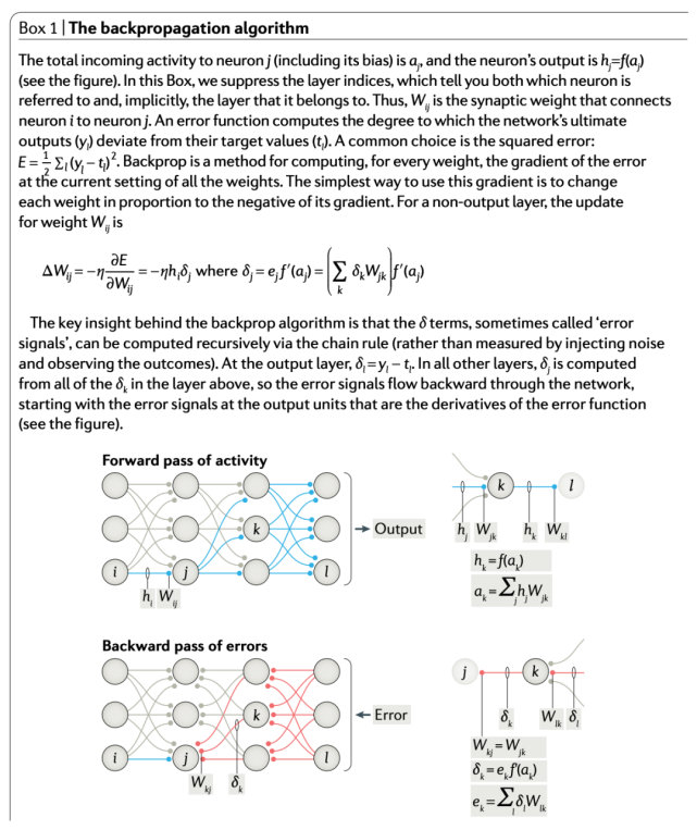 用反向传播算法解释大脑学习过程？Hinton等人新研究登Nature子刊