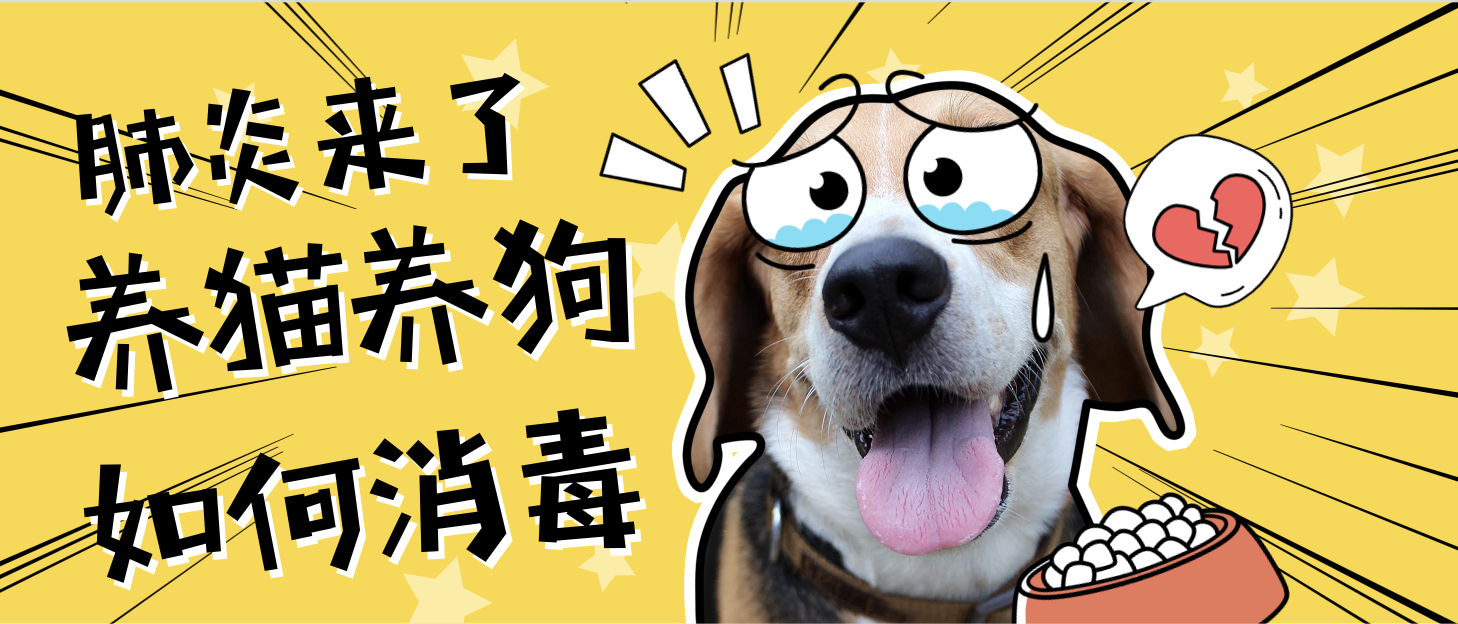 83a44037bffd46558ec6fa5d36afc851?from=pc