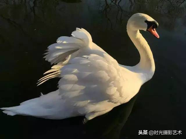 手机摄影基础丨做自己的光影魔术手，你能做到吗？