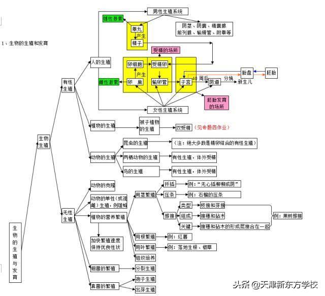 初中生物知识点梳理——思维导图，清晰得不要不要的！