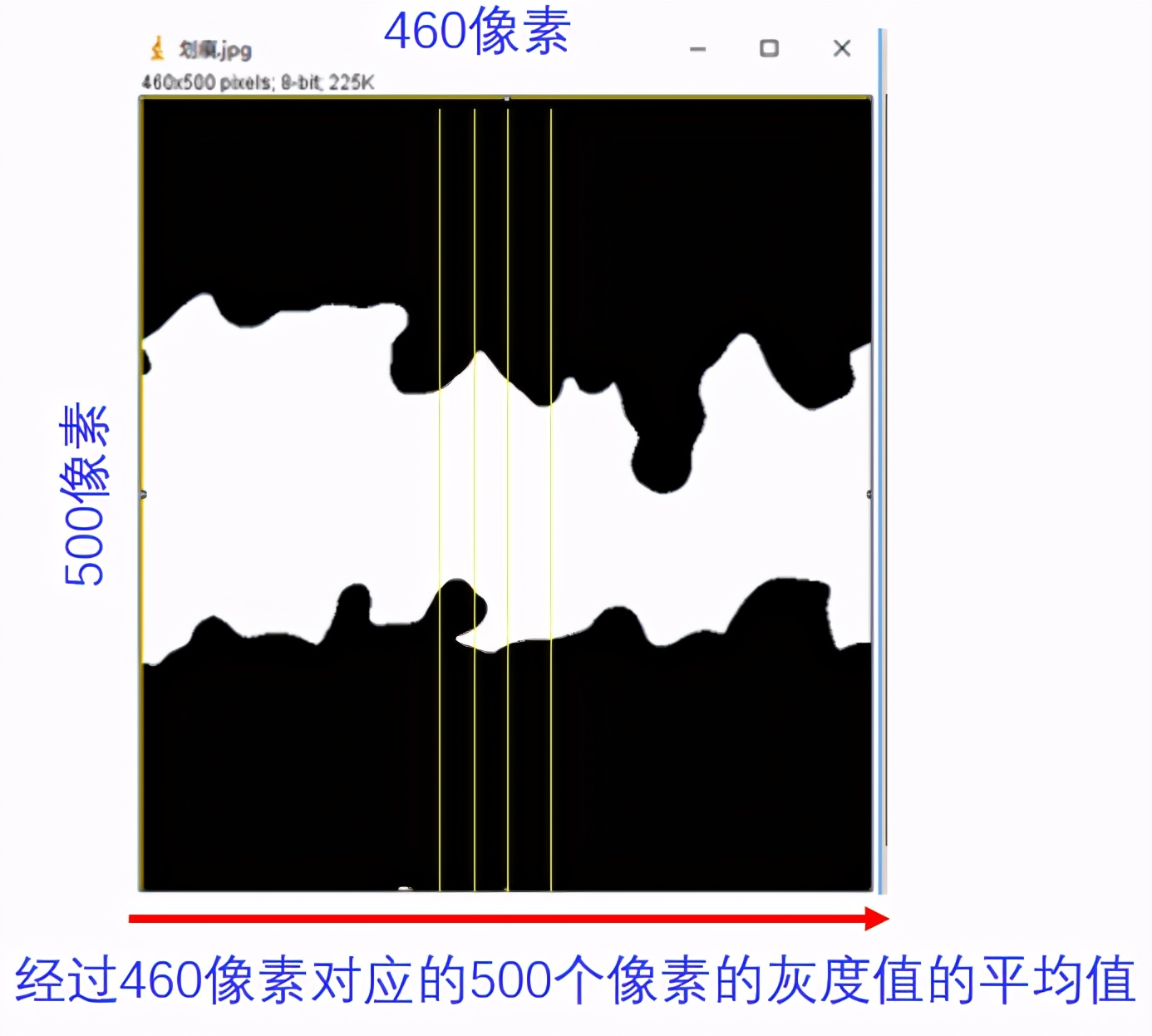 老司机带你解锁ImageJ划痕实验宽度分析