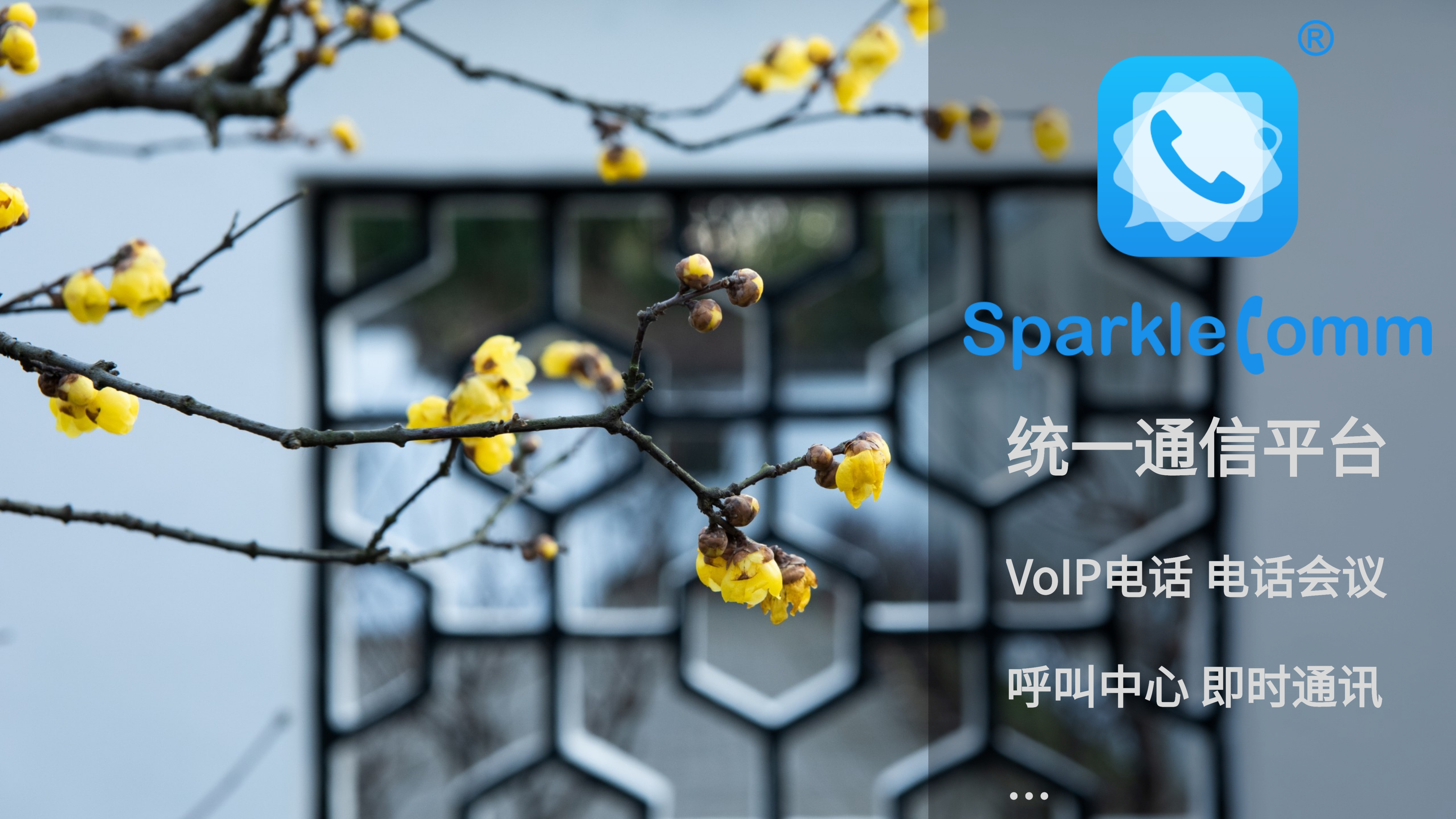 VoIP电话系统电话会议指南