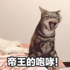 怎么才能将M4A转换为MP3？秘籍公开