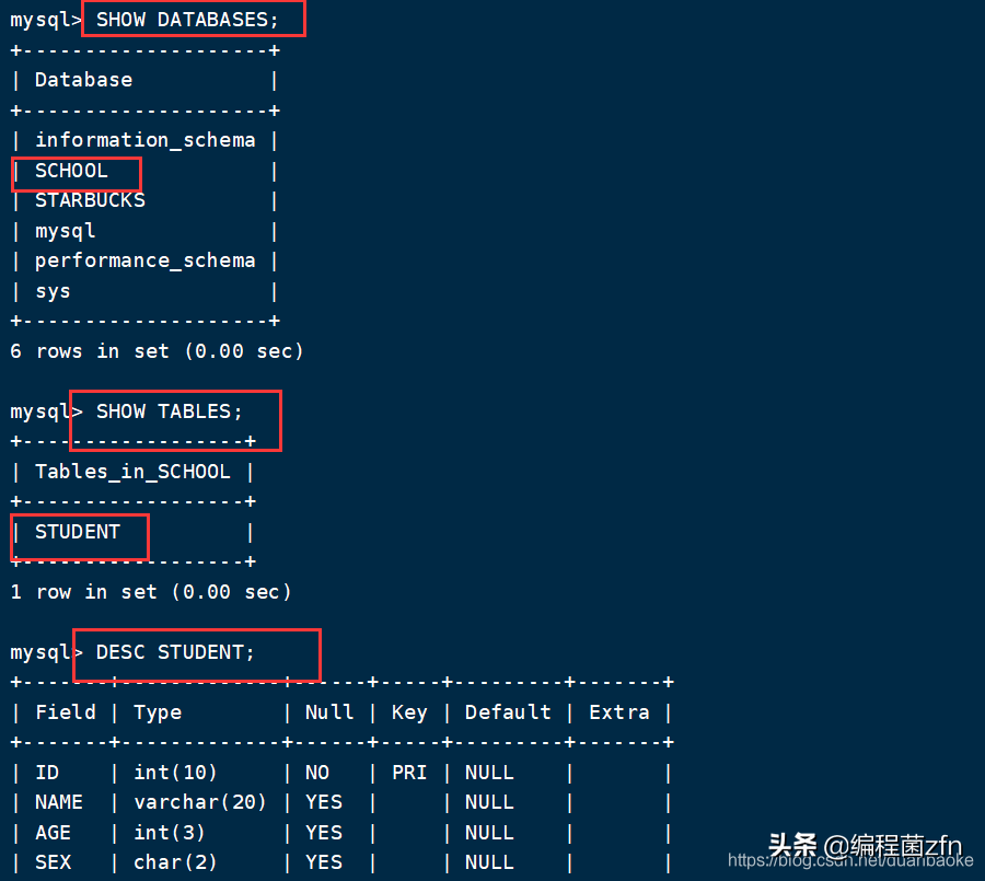 MySQL 数据库 增删查改、克隆、外键 等操作