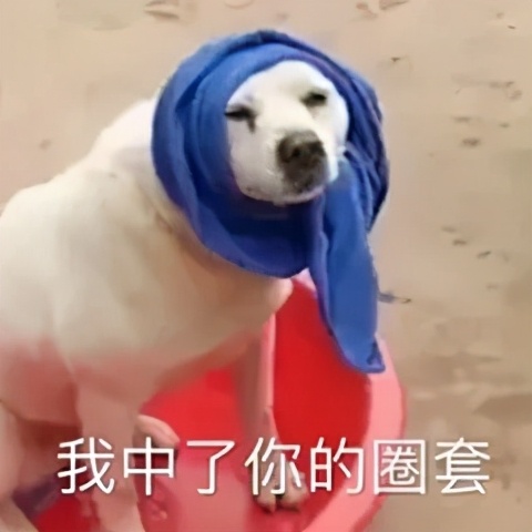 看新闻赚钱 App，到底能不能赚到钱？