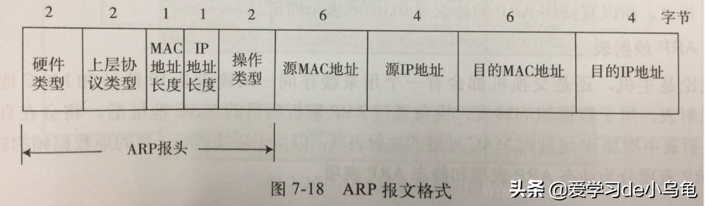 MAC地址；地址解析协议（ARP）；以太网；链路层交换机