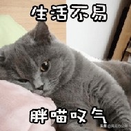 DWG转DWF怎么转？办公党的必备方法