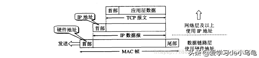 MAC地址；地址解析协议（ARP）；以太网；链路层交换机