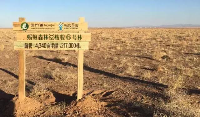 阿里巴巴成立20周年，55岁的马云卸任阿里巴巴集团董事局主席
