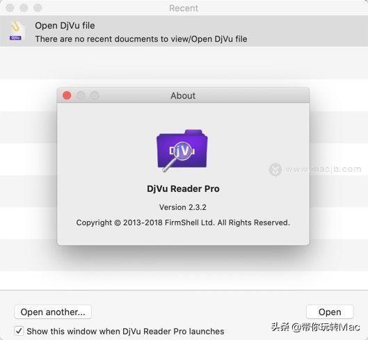 DjVu Reader Pro for Mac(DjVu阅读软件)
