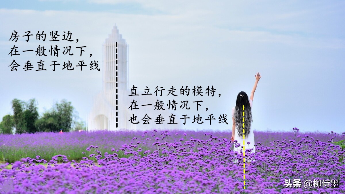 8个拍摄技巧分析，躲避5个摄影问题，阿姨和姐姐们拍照要注意