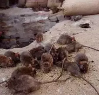 怪谈 | 扒一扒唐山大地震前后的诡异怪事
