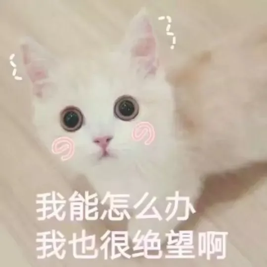 8f626a457e1245369b66a51ff9801564?from=pc