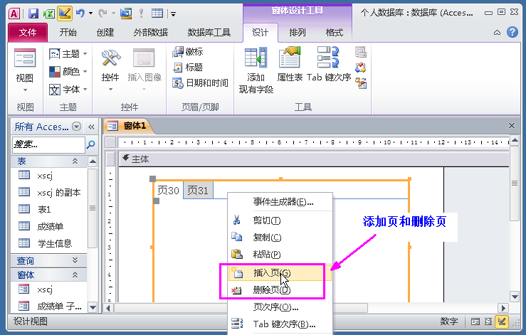 Access数据库窗体设计实例