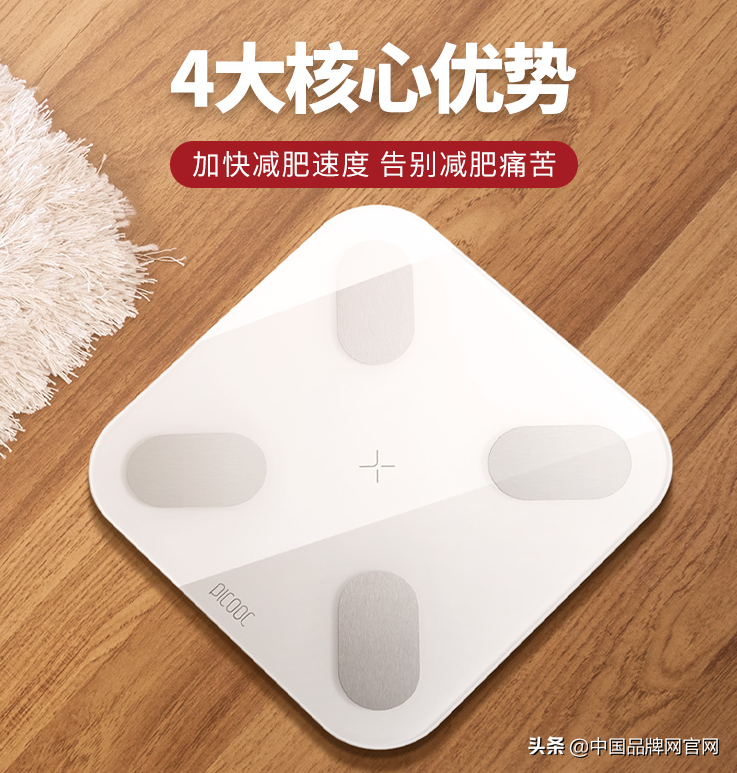 【十大品牌】体脂秤什么牌子的好?2020年体脂秤这样选
