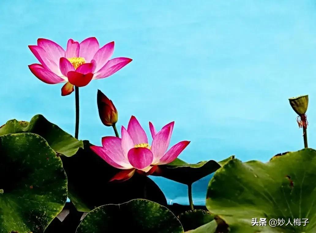 《墨菲定律》：管理好自己的情绪，是一种修行