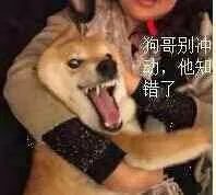 9360034eef5b420992f4b24b992259ca?from=pc