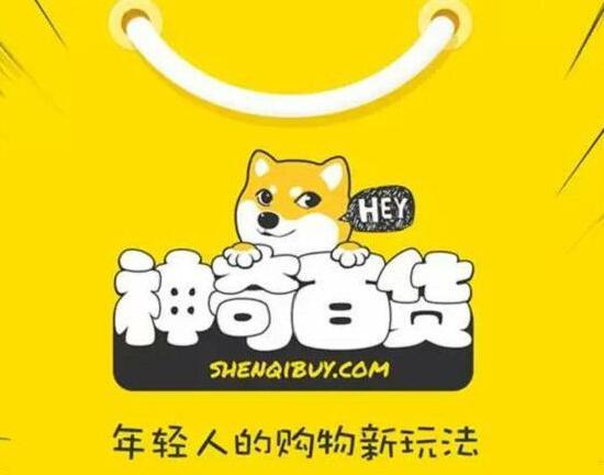 女孩高中生休学创业，研发购物APP，半年营业额超1000万