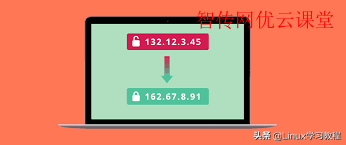 Linux系统怎么使用命令行查询公网IP地址