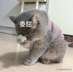 如何将MP4转换为M4V？简单几步，轻松转换