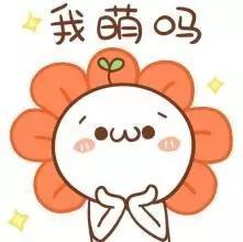 如何运营网红，背后的团队怎么运作？
