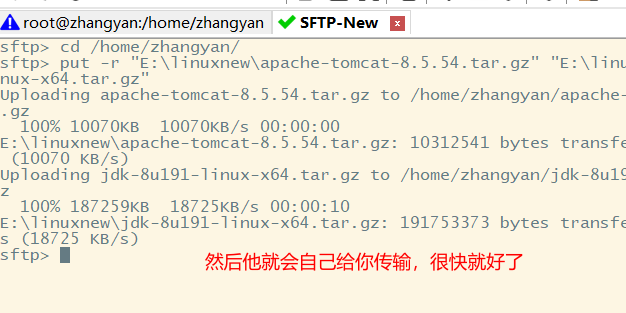 Linux中安装 jdk 和 tomcat（全网最详细）