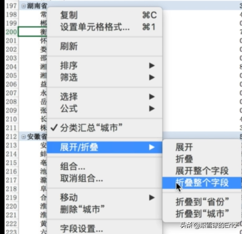 商业数据分析2：EXCEL模块，数据透视表/VBA概览