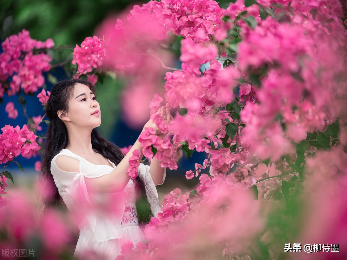 8个拍摄技巧分析，躲避5个摄影问题，阿姨和姐姐们拍照要注意
