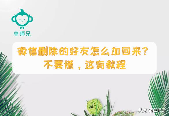 微信删除的好友怎么加回来？不要慌，这有教程