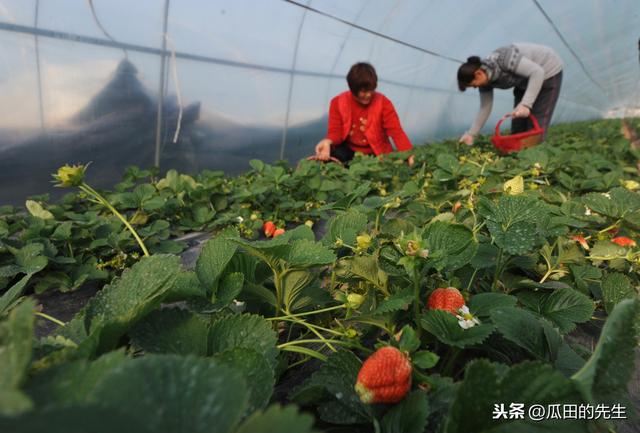 农民工返乡可以做什么？农民工返乡创业有哪些好项目？