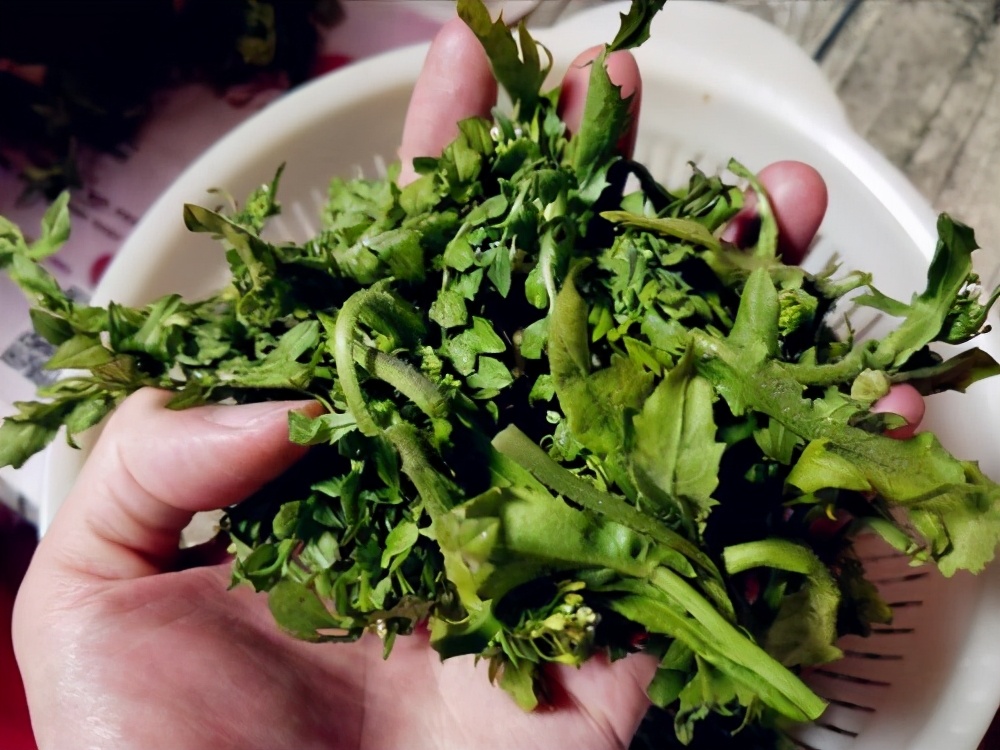 农村投资不高，利润颇丰的几种小生意，你了解几个？