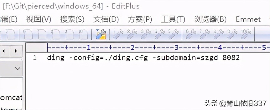 内网穿透完美实现过程.