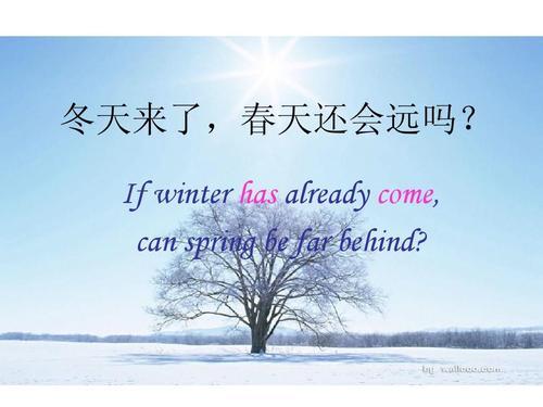 红极一时的小牛电动车是否还值得购买
