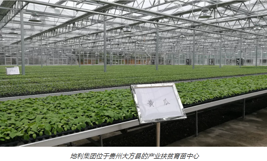 逆势突围——生鲜流通全产业链平台在“稳价保供”大考下优势凸显