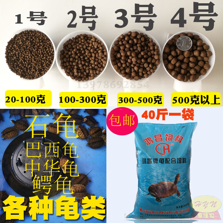 O1CN016gvy0j29sNl3UqkoH_!!369458123