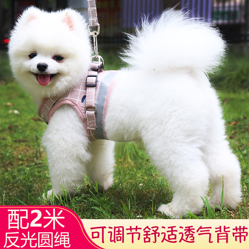 O1CN01PPhpkP2Dn7hundE16_!!0-item_pic