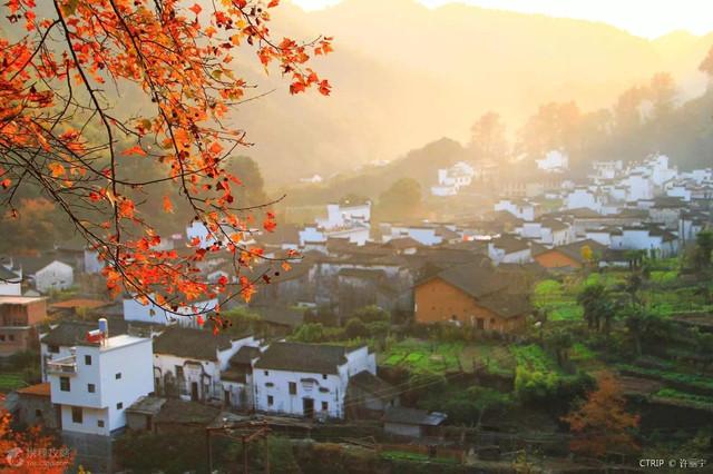 11月国内10大旅行地