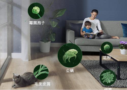 戴森V7 Mattress除螨器，家庭尘螨没踪迹