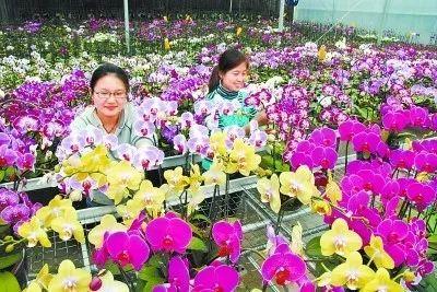 漳浦台湾农民创业园：台商创业的第二故乡「潮起闽江」