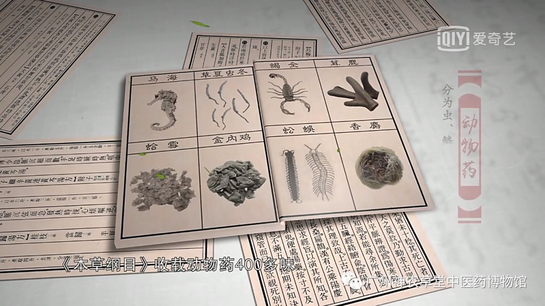 中药药对丨五毒之首，谁与争锋？