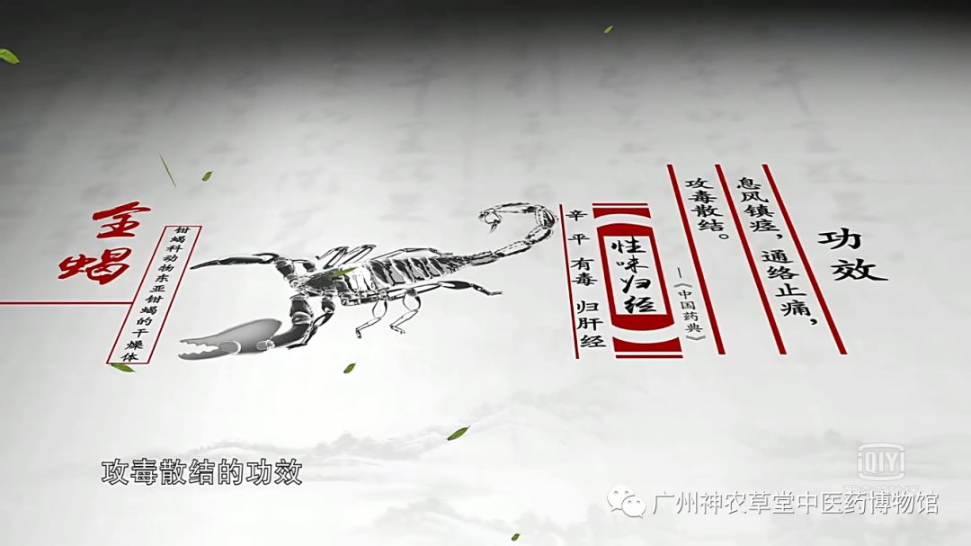 中药药对丨五毒之首，谁与争锋？