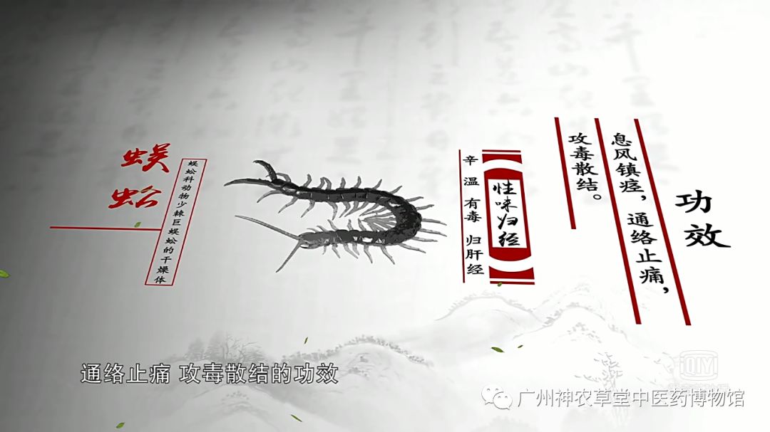 中药药对丨五毒之首，谁与争锋？