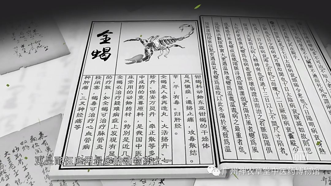 中药药对丨五毒之首，谁与争锋？