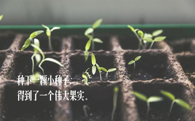 五一劳动节文案来了