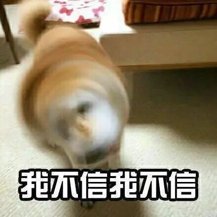 RQmUKqN7JLpGRD?from=pc