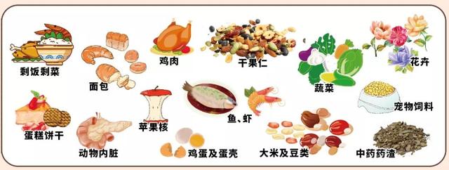 最全垃圾分类指南来了！看图自查，你分对了吗？