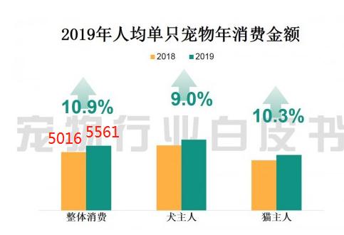 2000亿规模的宠物经济，为何没有巨头诞生
