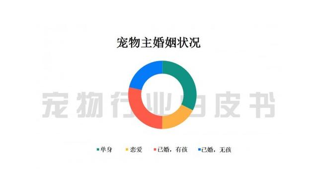 2000亿规模的宠物经济，为何没有巨头诞生