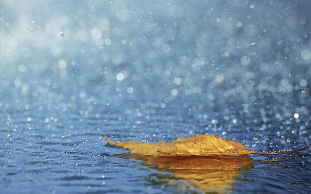 北京迎秋雨，飞利浦空气净化器缓解室内压力
