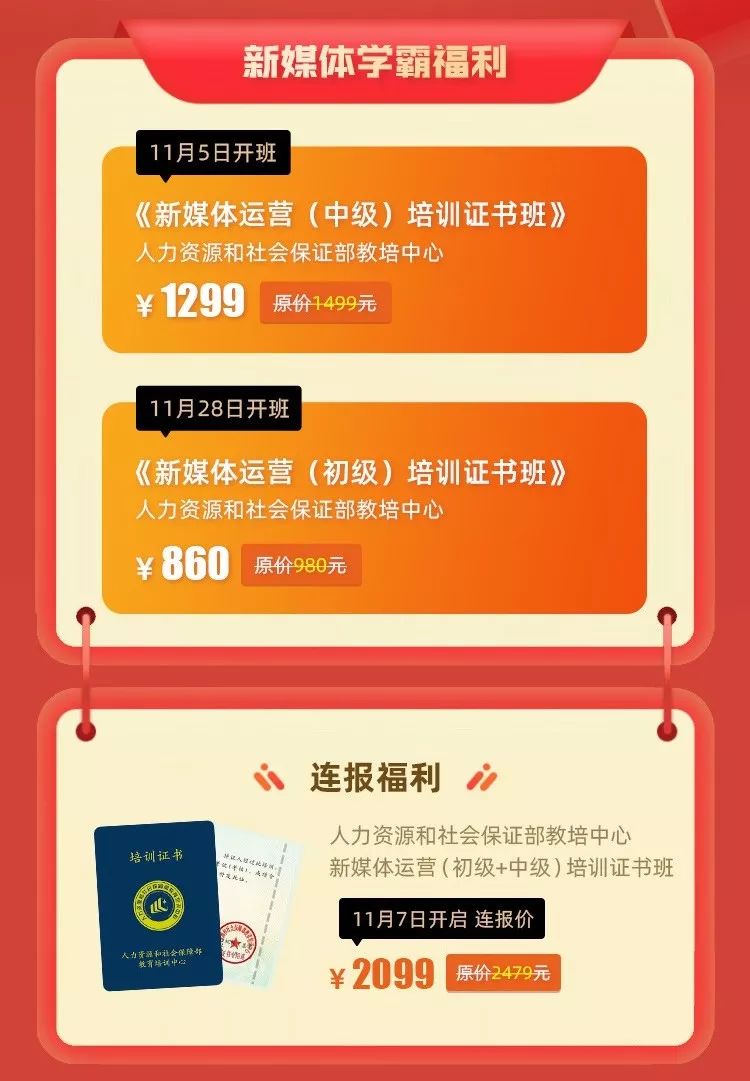 看了会上头！馒头商学院双11活动重磅开启 | 学在日常，才不寻常